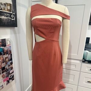 Byegreis cut out dress